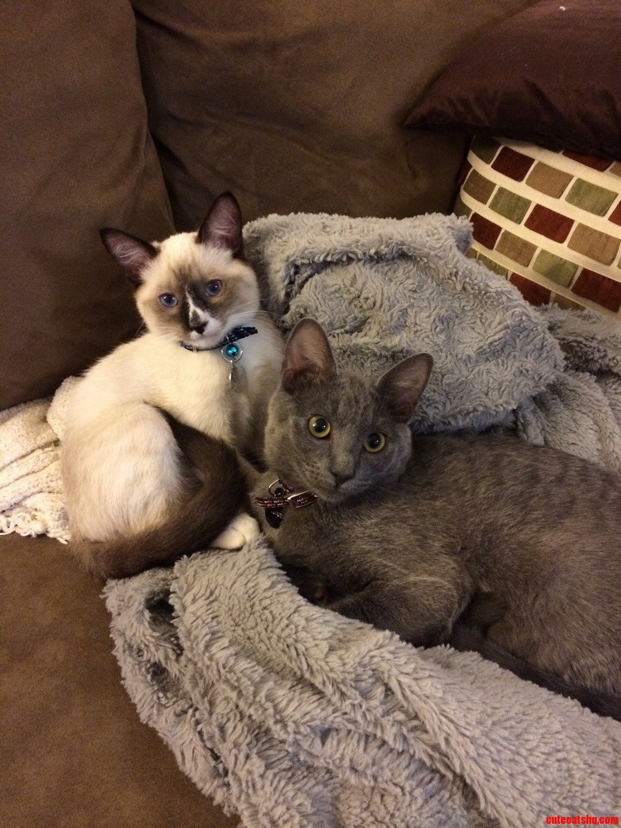 And to Think They Hated Each Other in the Beginning