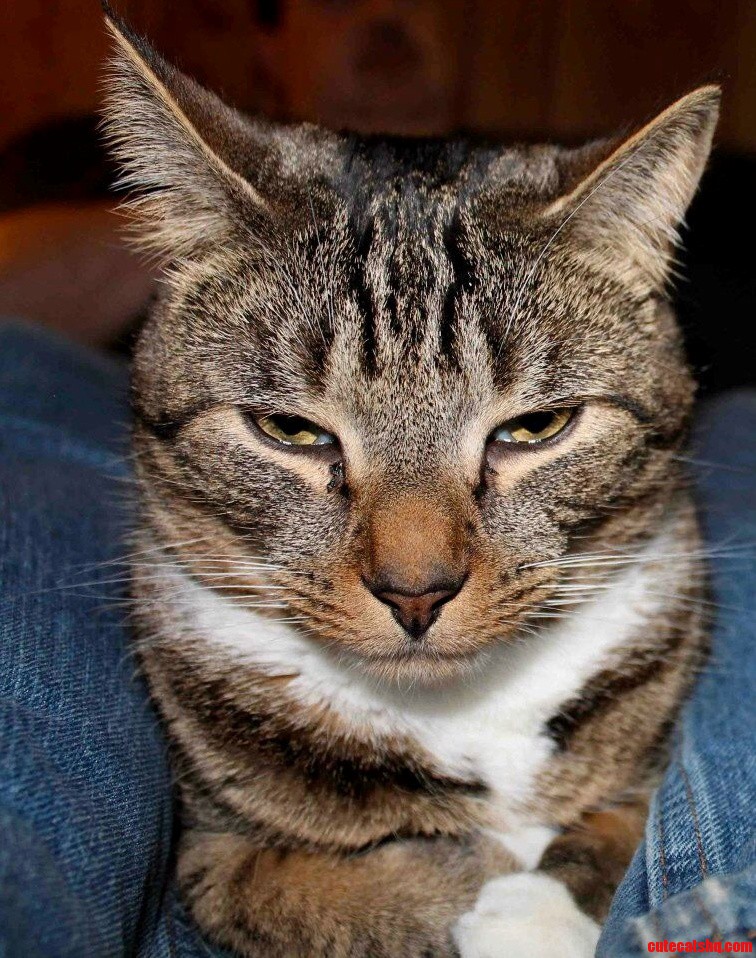 Annoyed