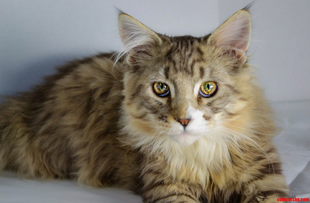 Apollo Was All Grown Up So Here He Is in All His Magnificence.