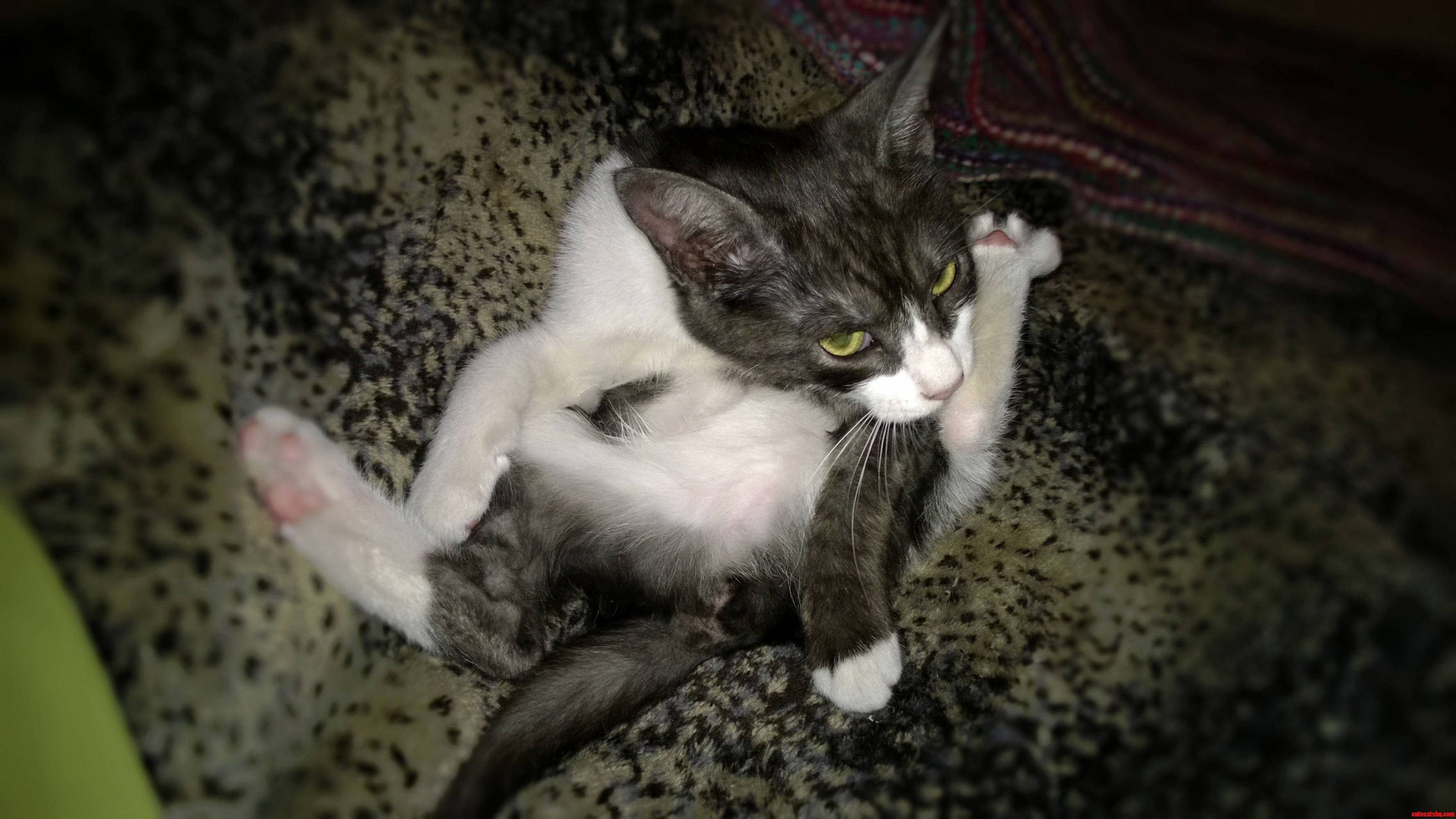 At Least She Cleans Herself