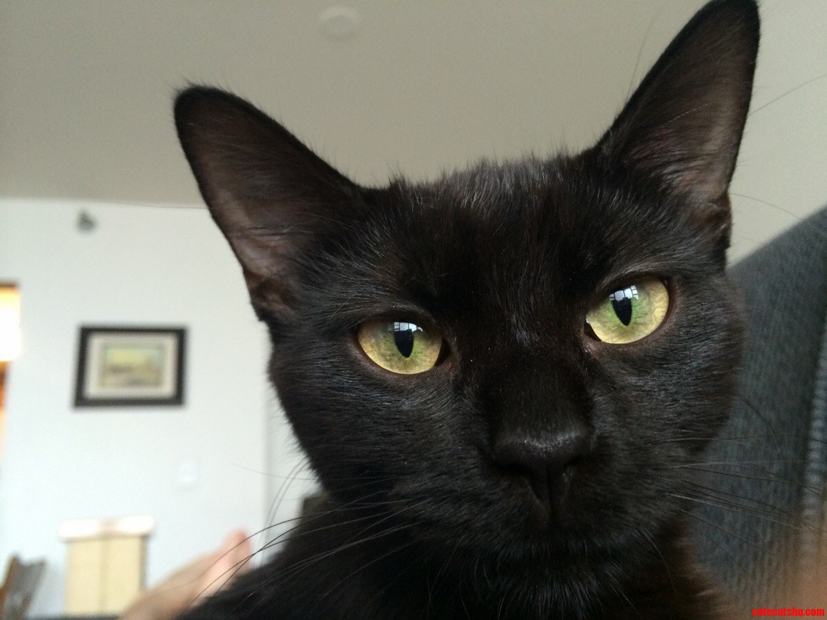 Beautiful Eyes
