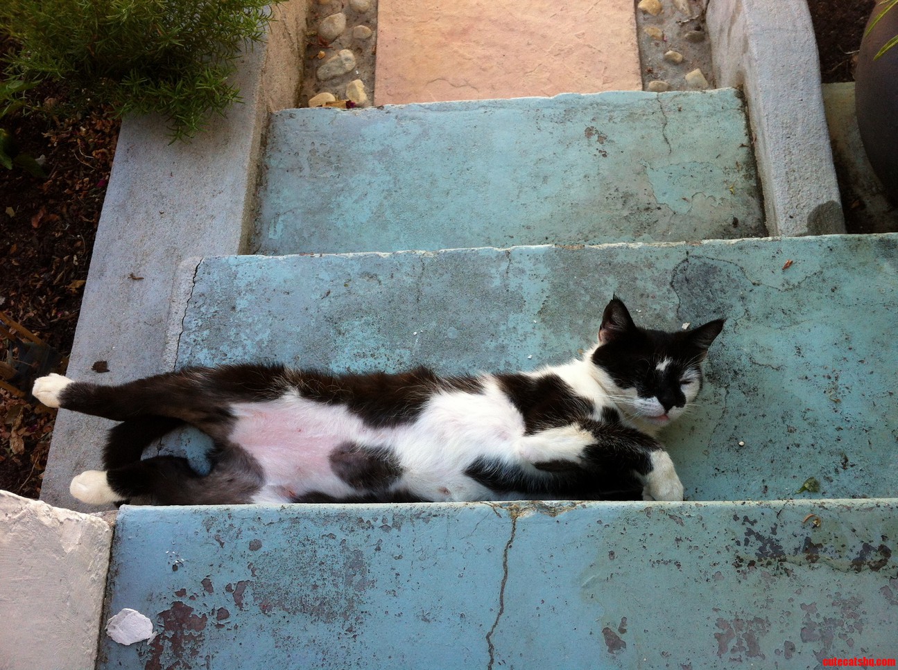 Belly Out... Loving Life