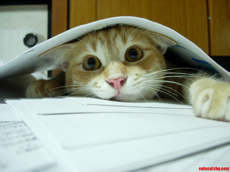 Can I Study with You