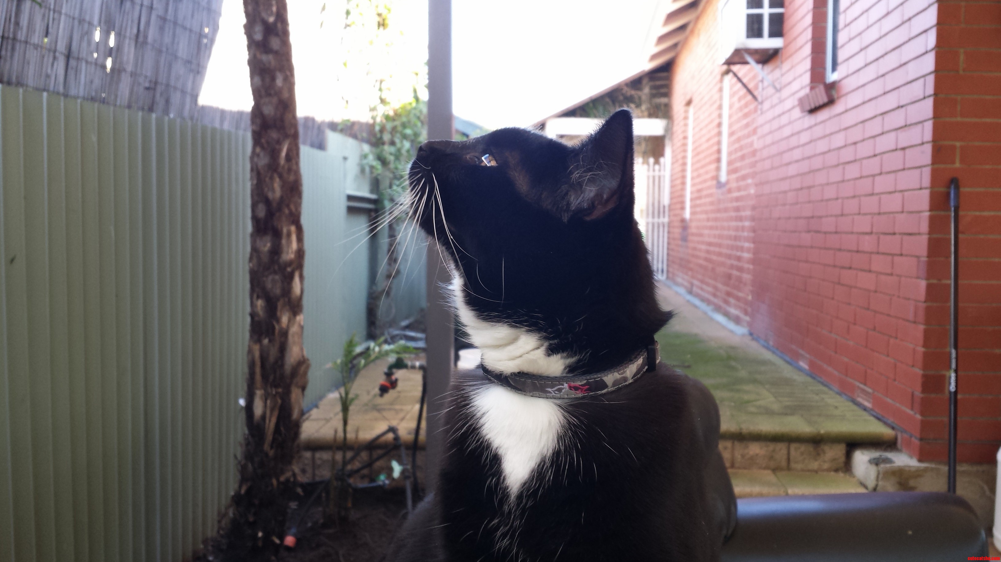 Can You Tell She Loves Her Outside Time