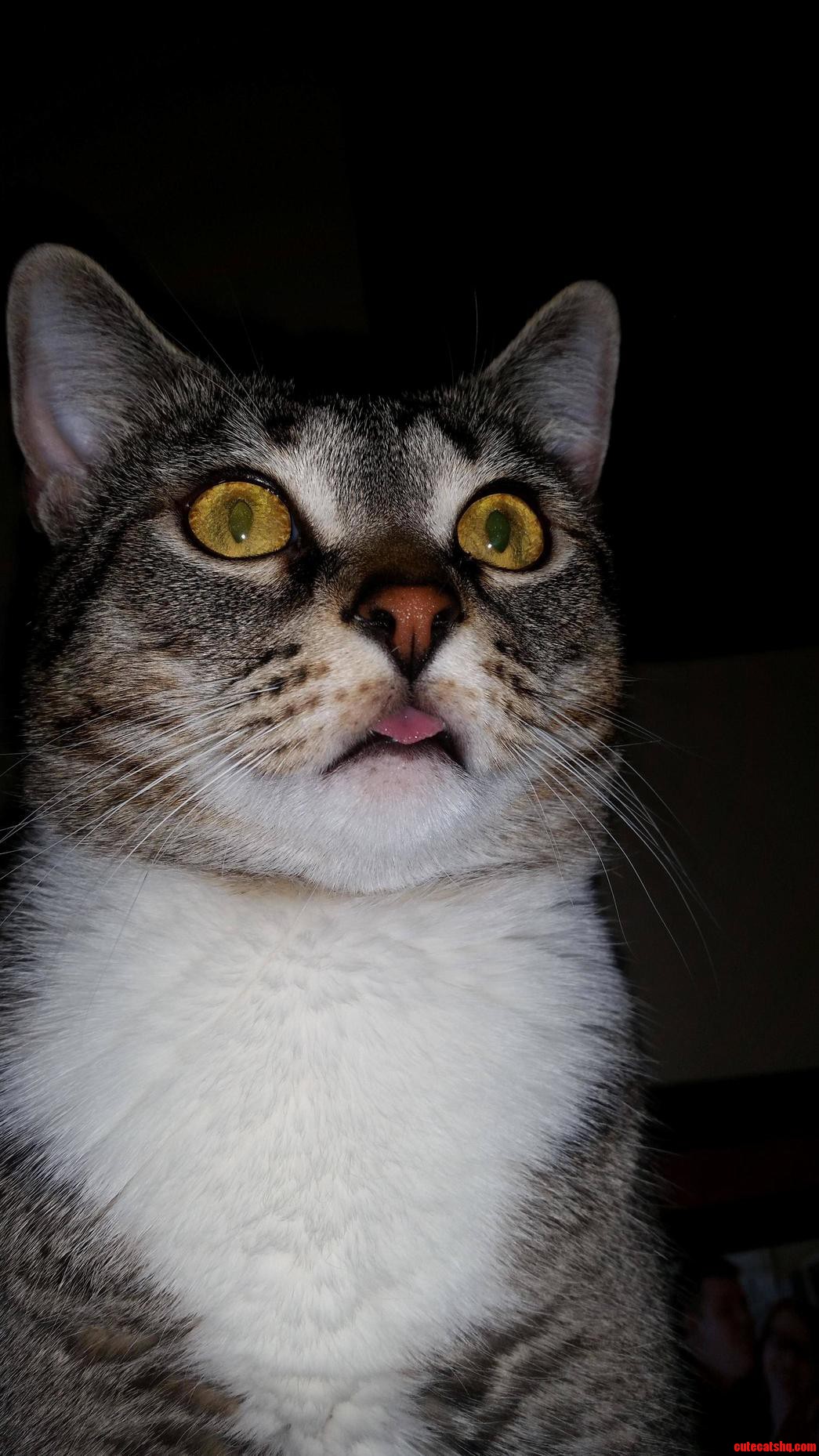 Cannot Compute.