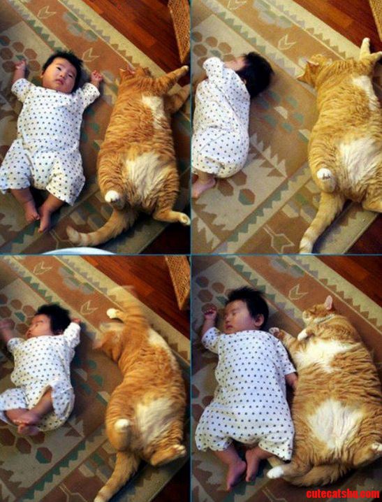 Cat Baby Sleeping Both Look Similar
