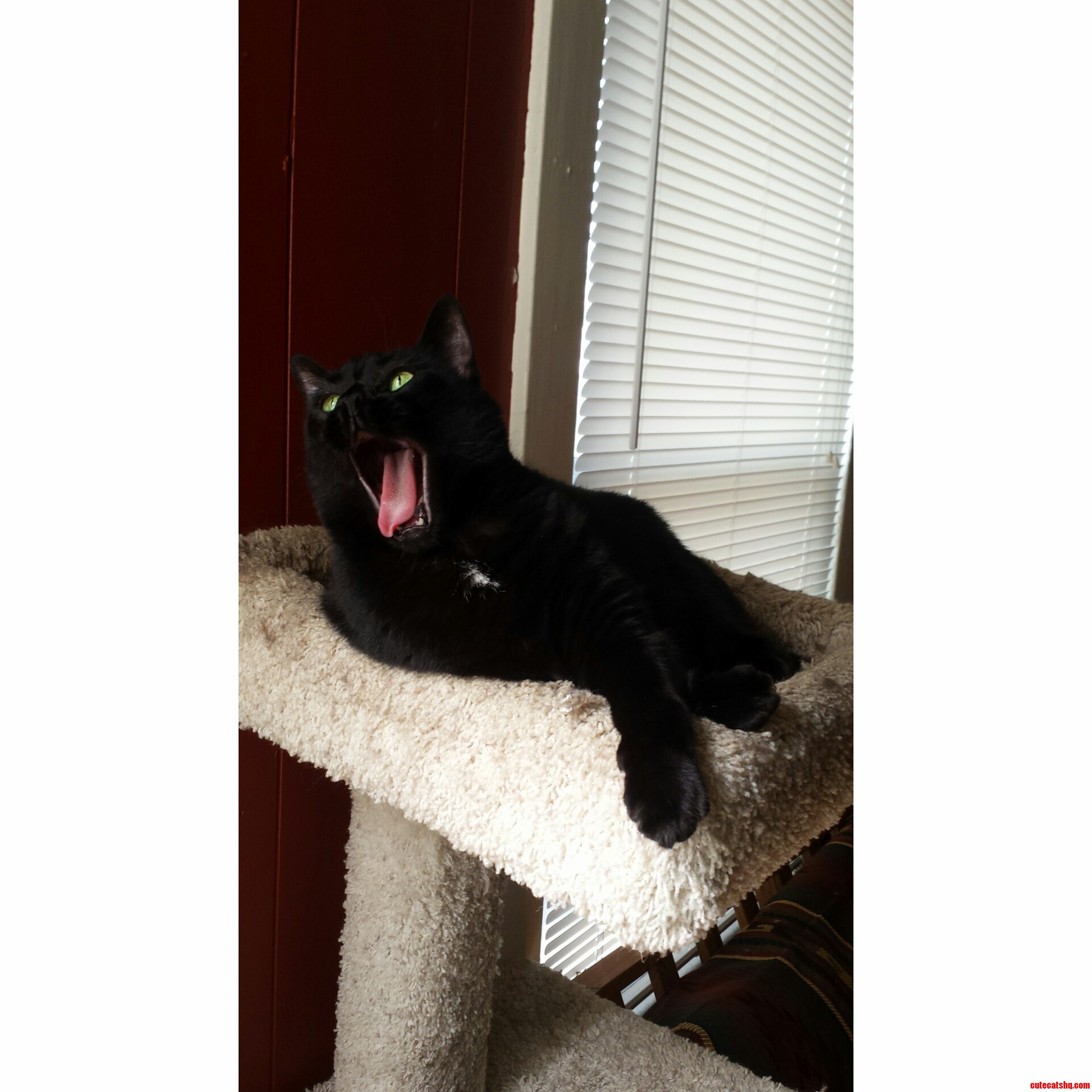 Caught Her Mid-yawn