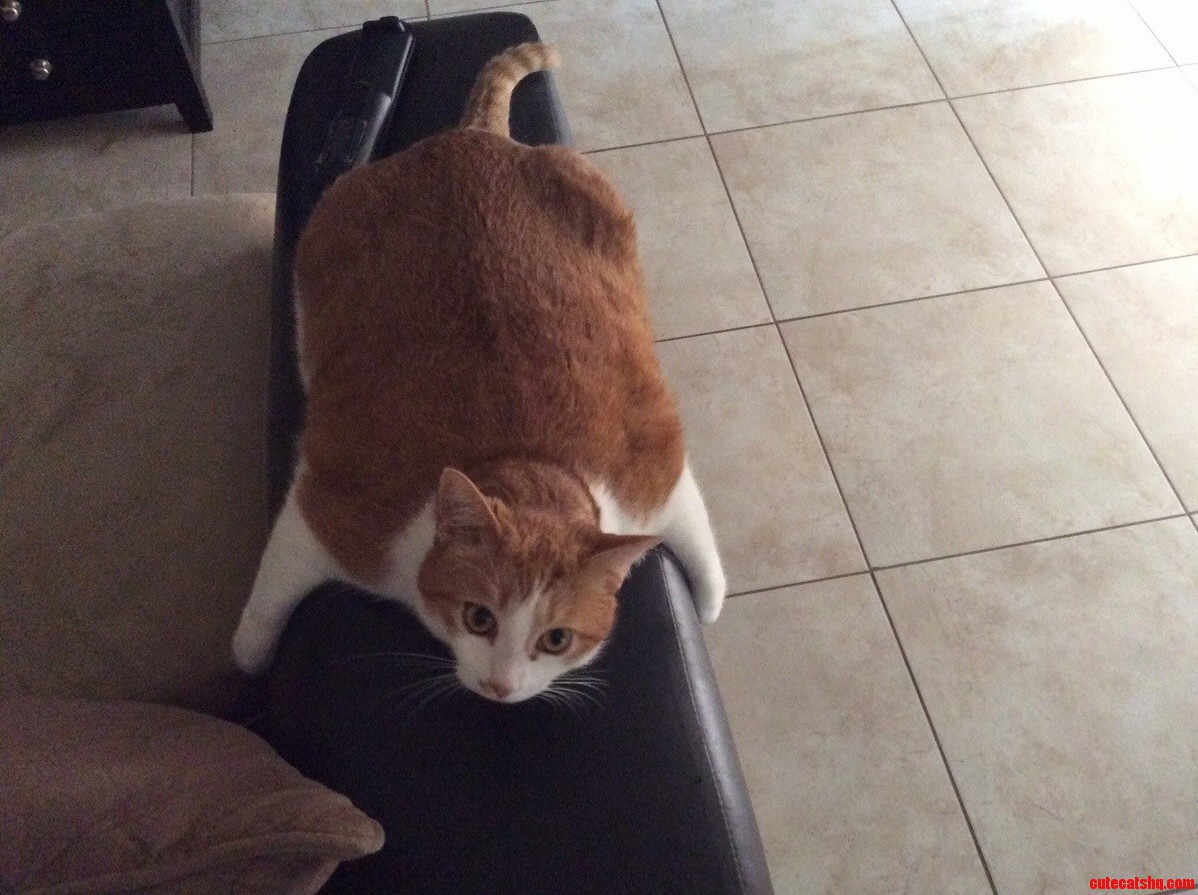 Cheetos Favorite Pose.