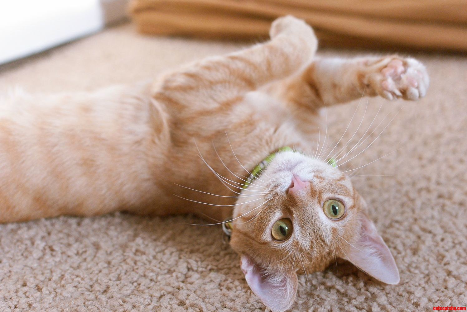 Colby Mesmerizes with His Hands and Eyes