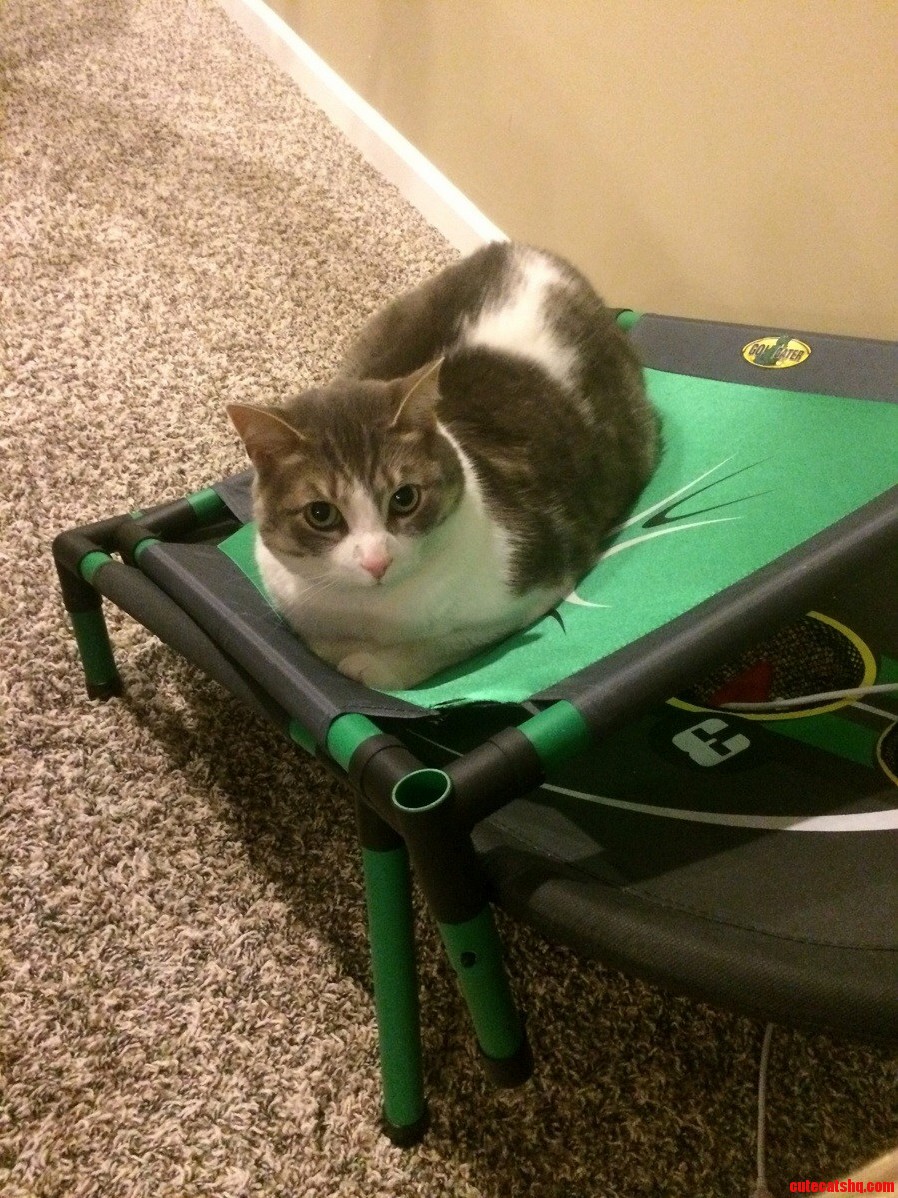 Comfy