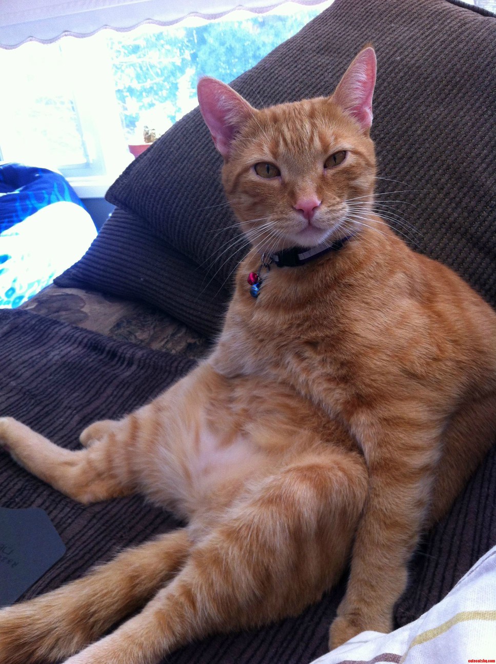 Dafuq You Lookin at