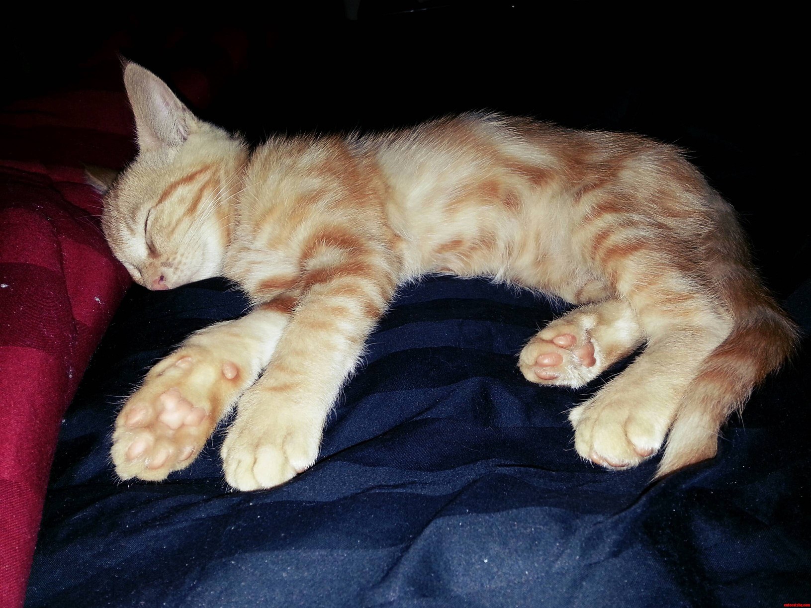 Dem Feets