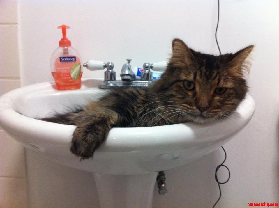 Do You Mind Human