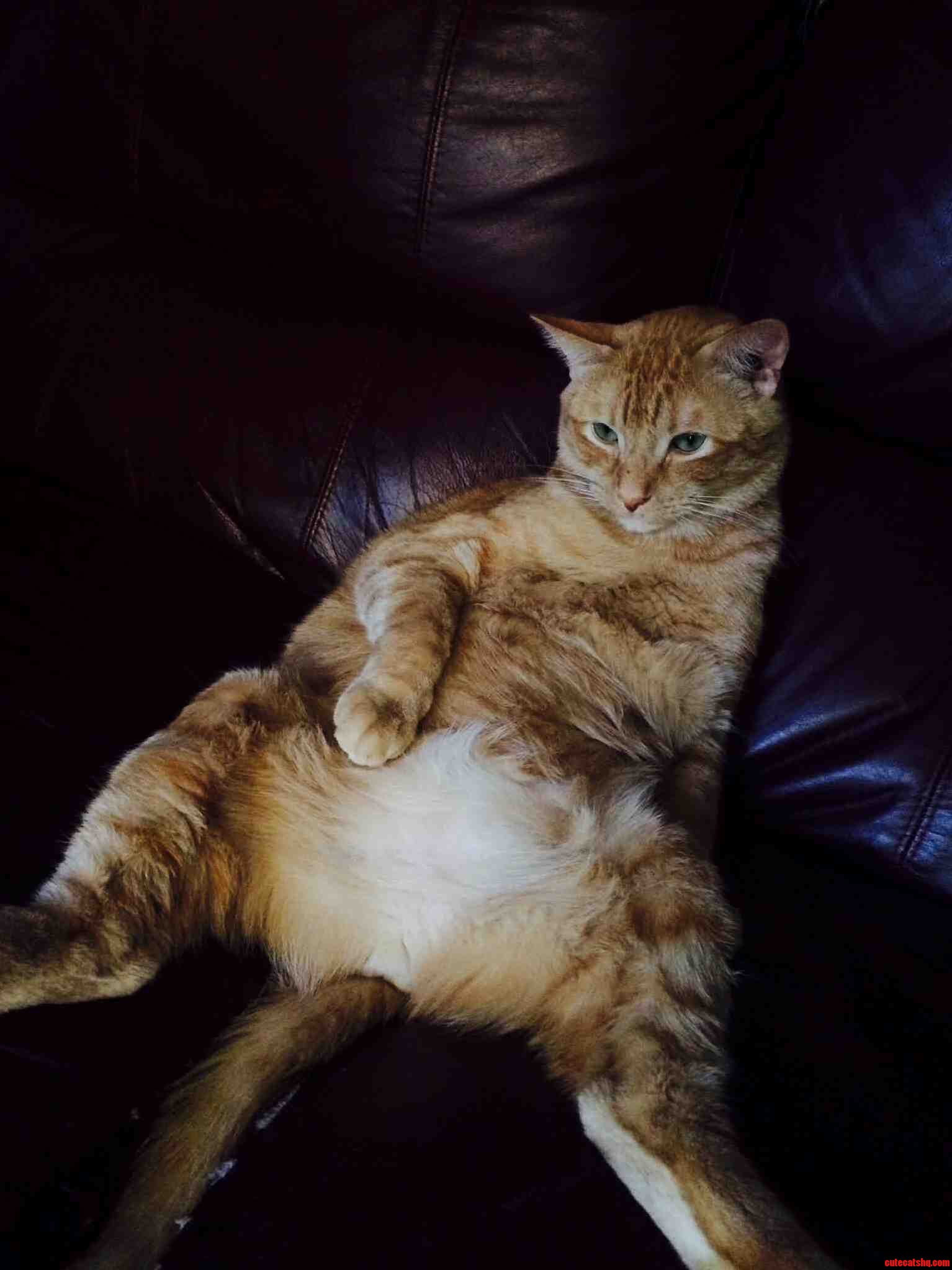Dont Mind Me.