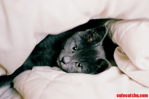 Dont Take Me Out of Bed Please.