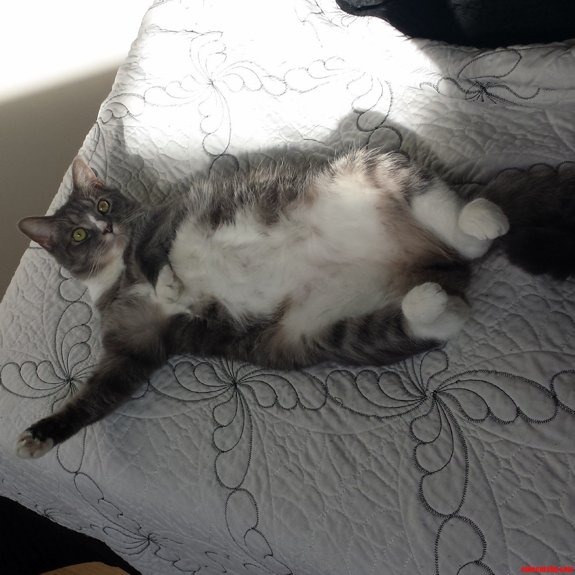 Draw Me Like One of Your French Girls