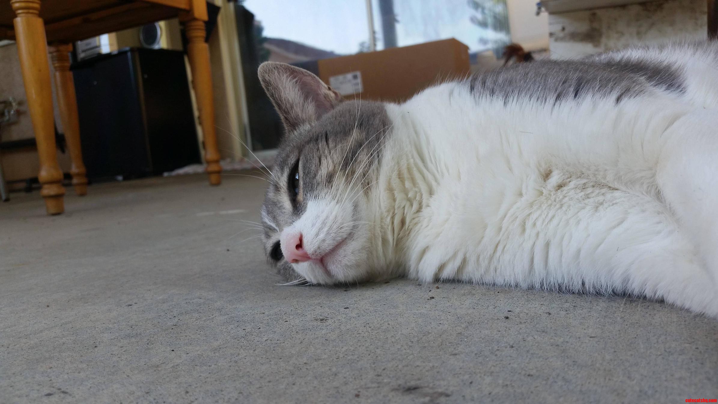 Enjoying the Summer Life Outside