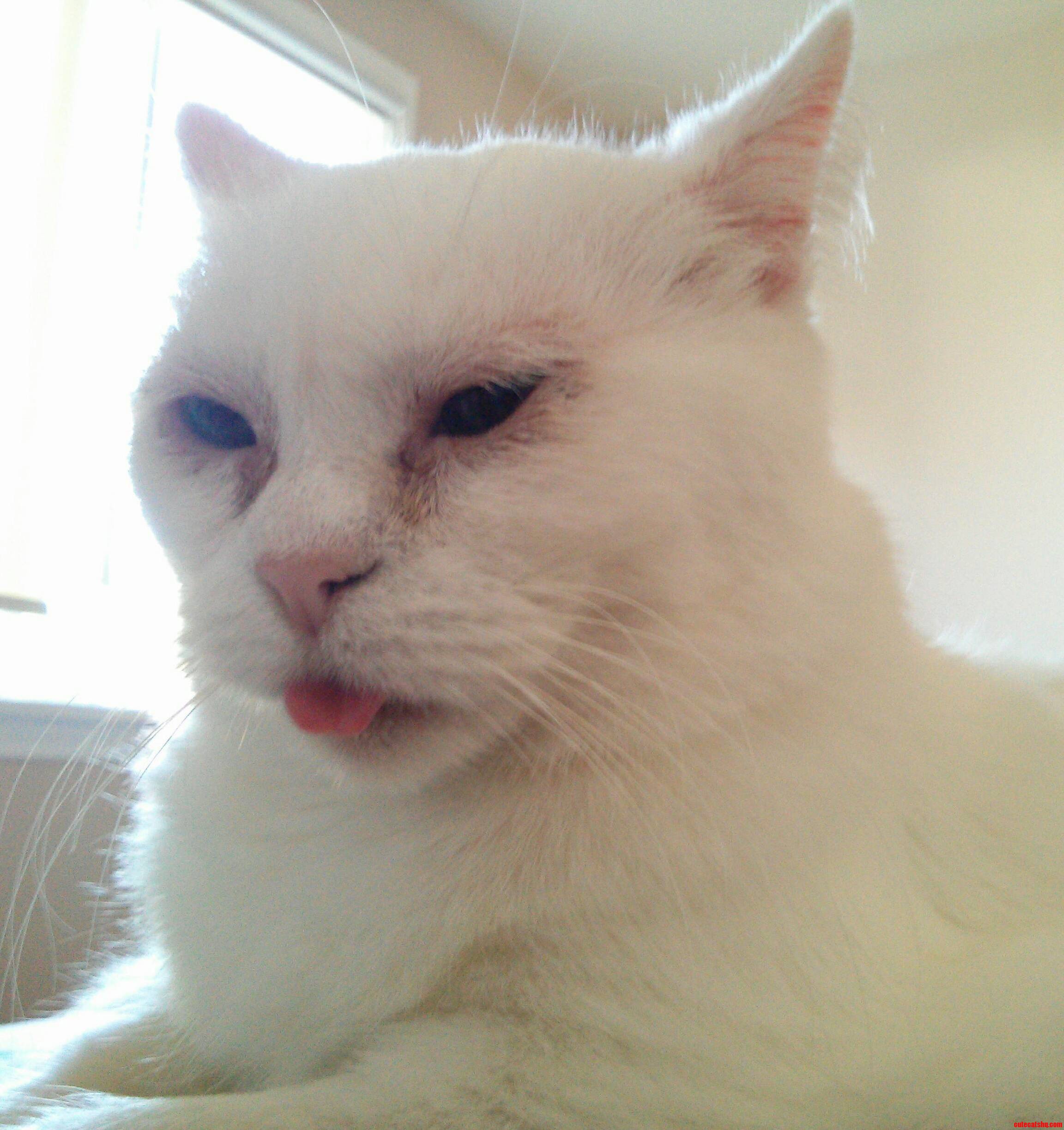 Every Time I Scratch Her Butt. Derp.