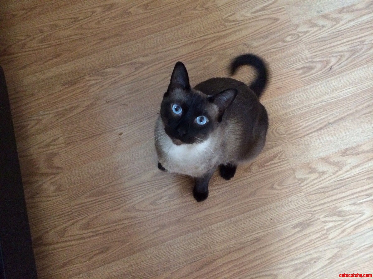 Every Time Im in the Kitchen.