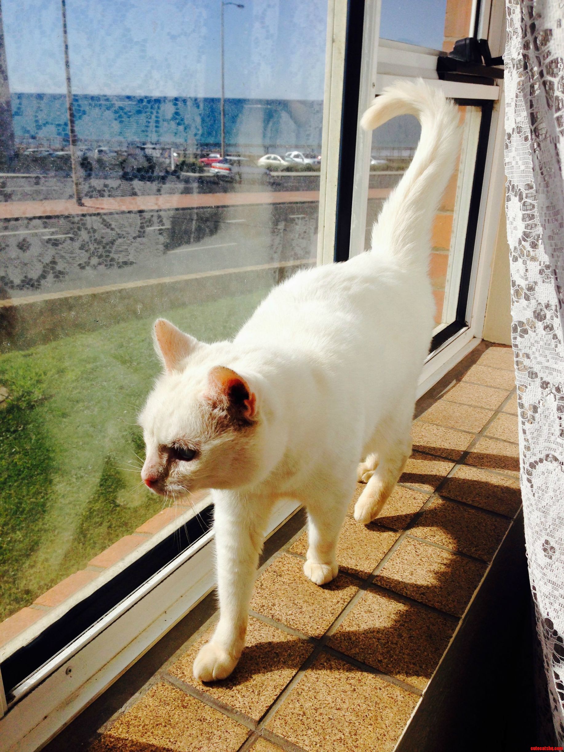 Exploring Her New Home