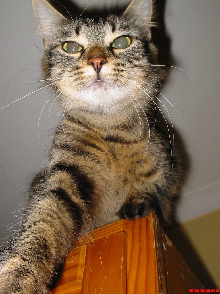 Faust Takes a Selfie..