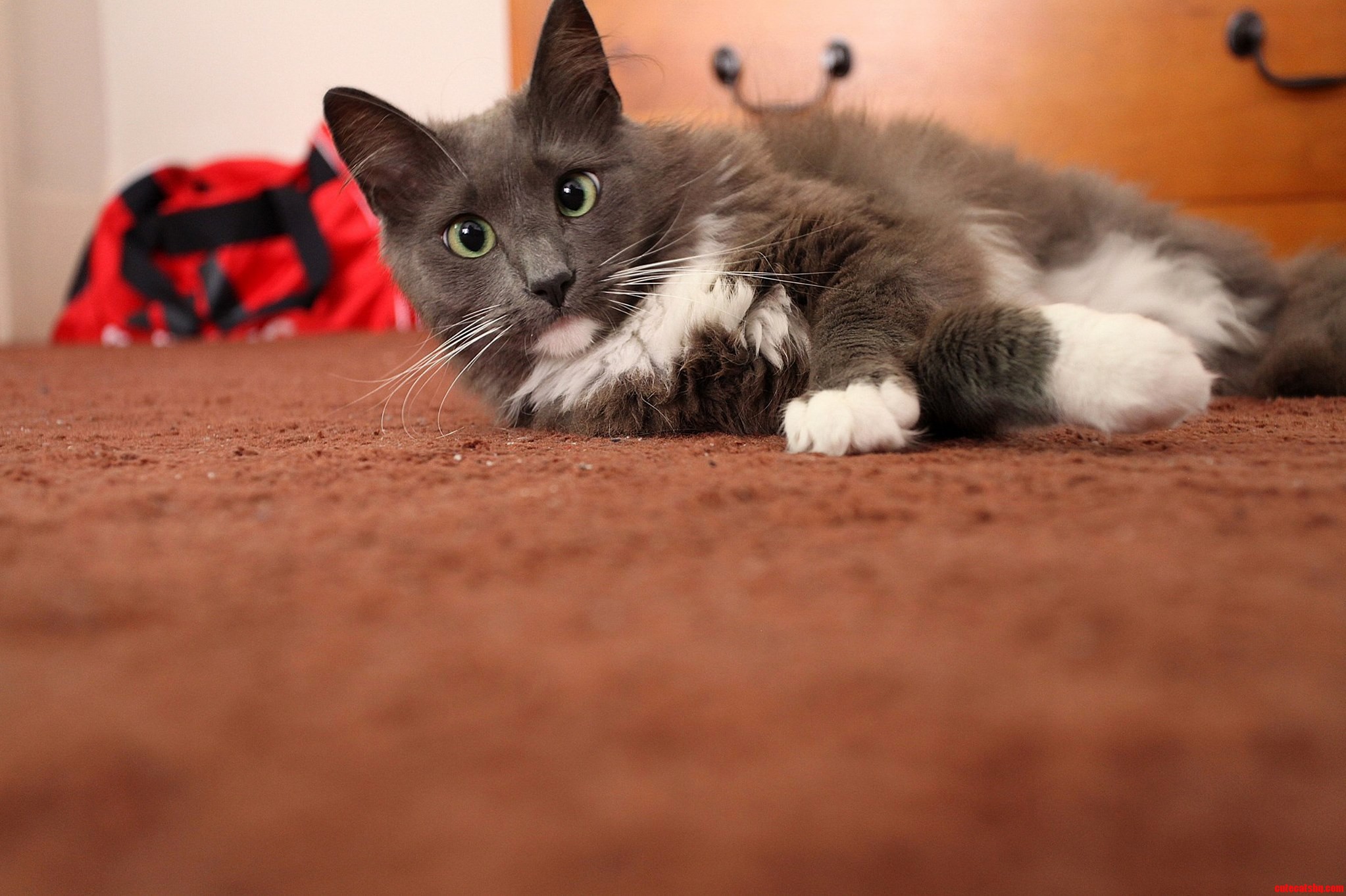 Flo Did Not Know How to React to the Camera.