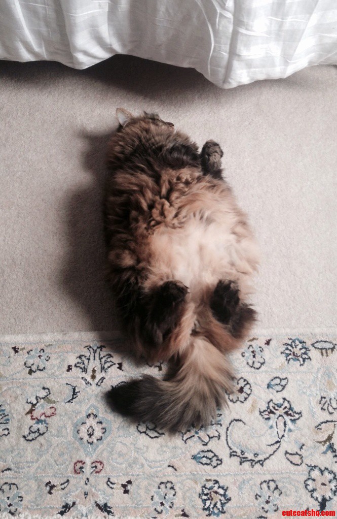 Fluffy Footies