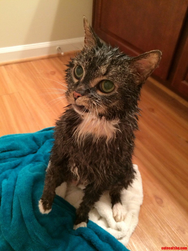 For 17 Years Hes Owned My Heart.