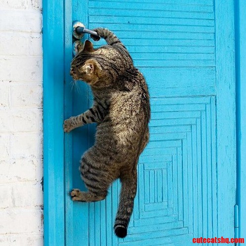 Forgot My Key Again...