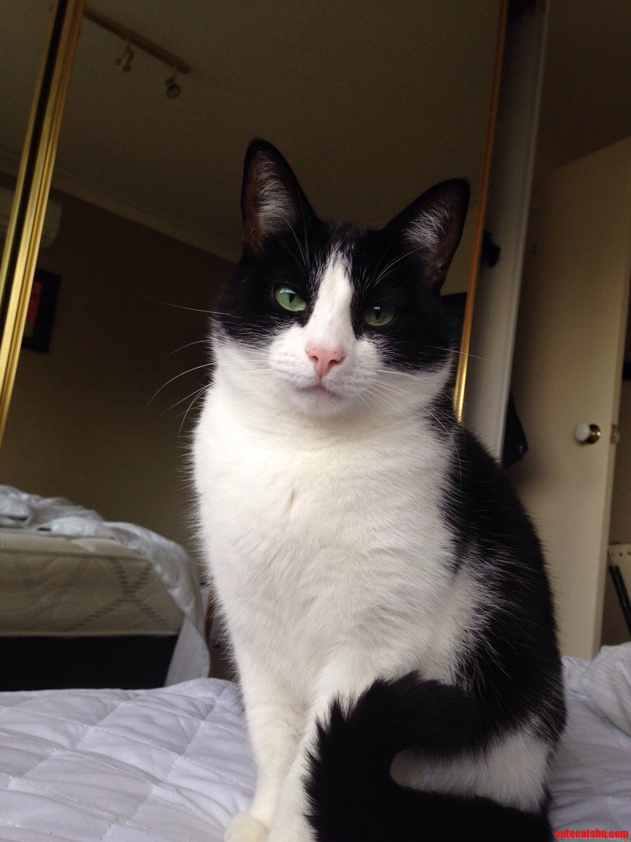 Frank Is Ready for His Portrait