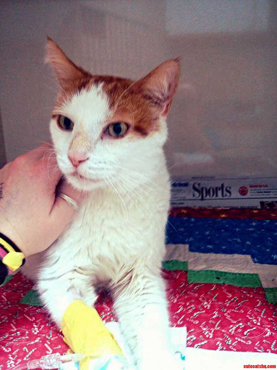 Get Better Buddy...