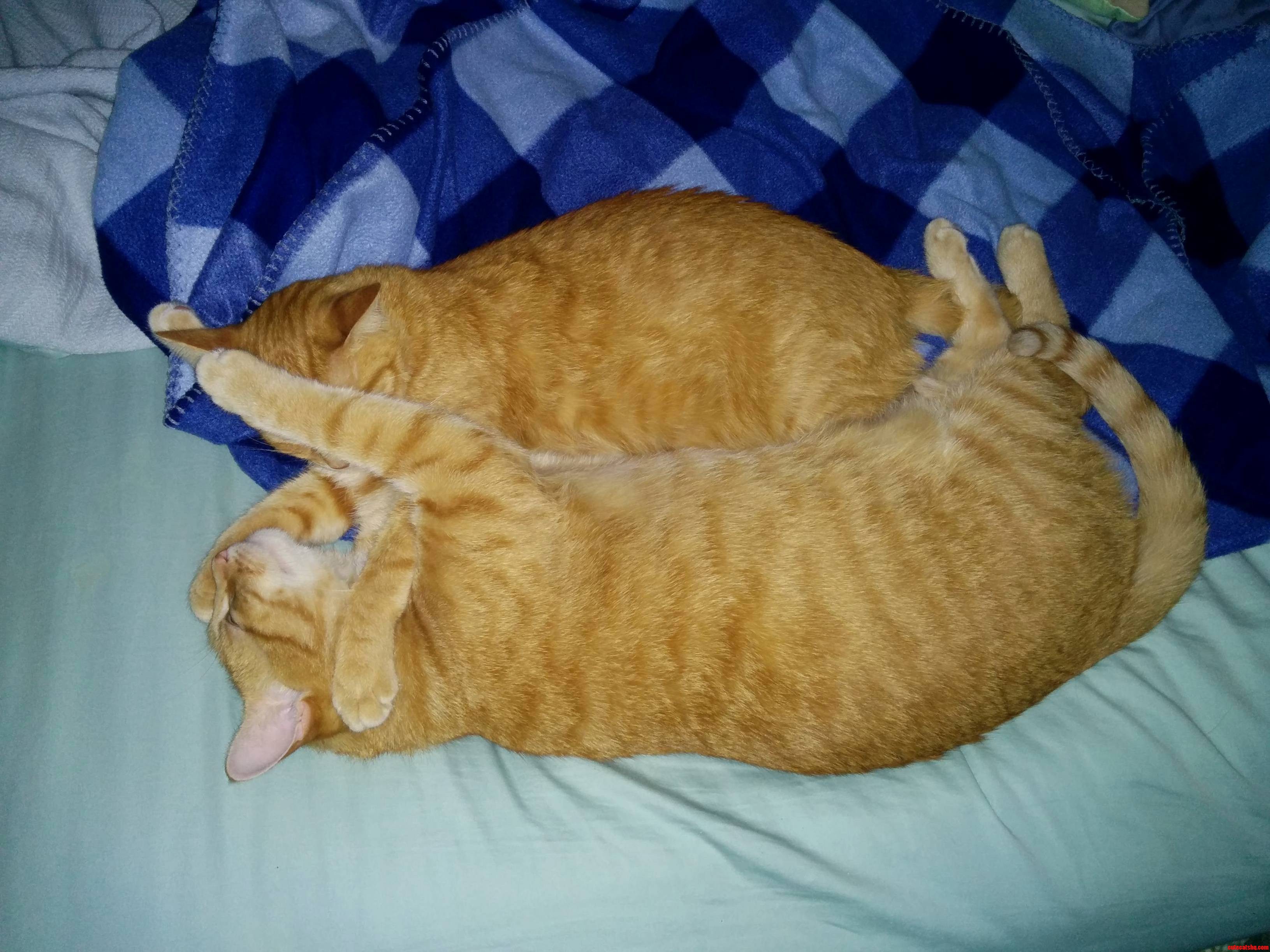 Go Back to Sleep Brother
