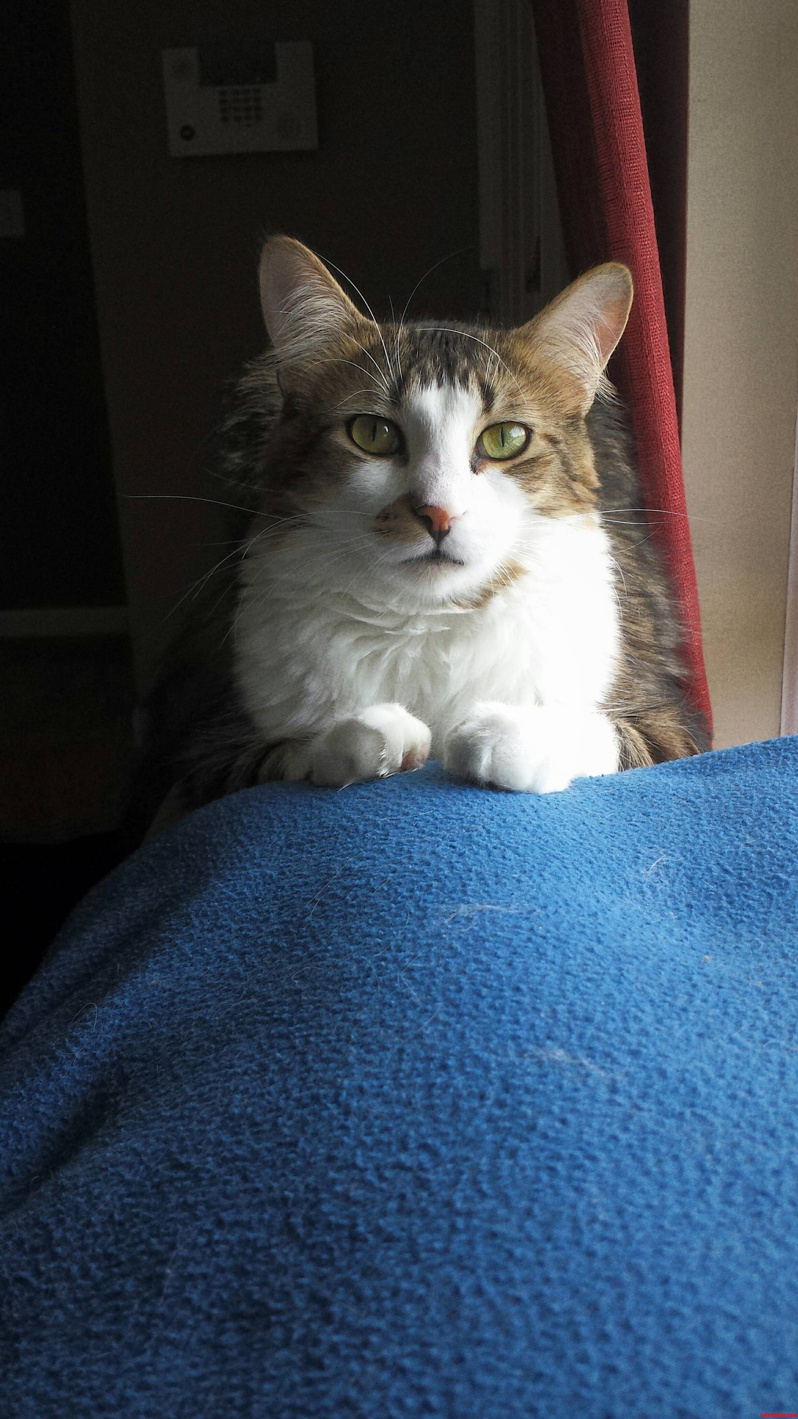 Got Into a Staring Contest. ..Most Definitely Lost..