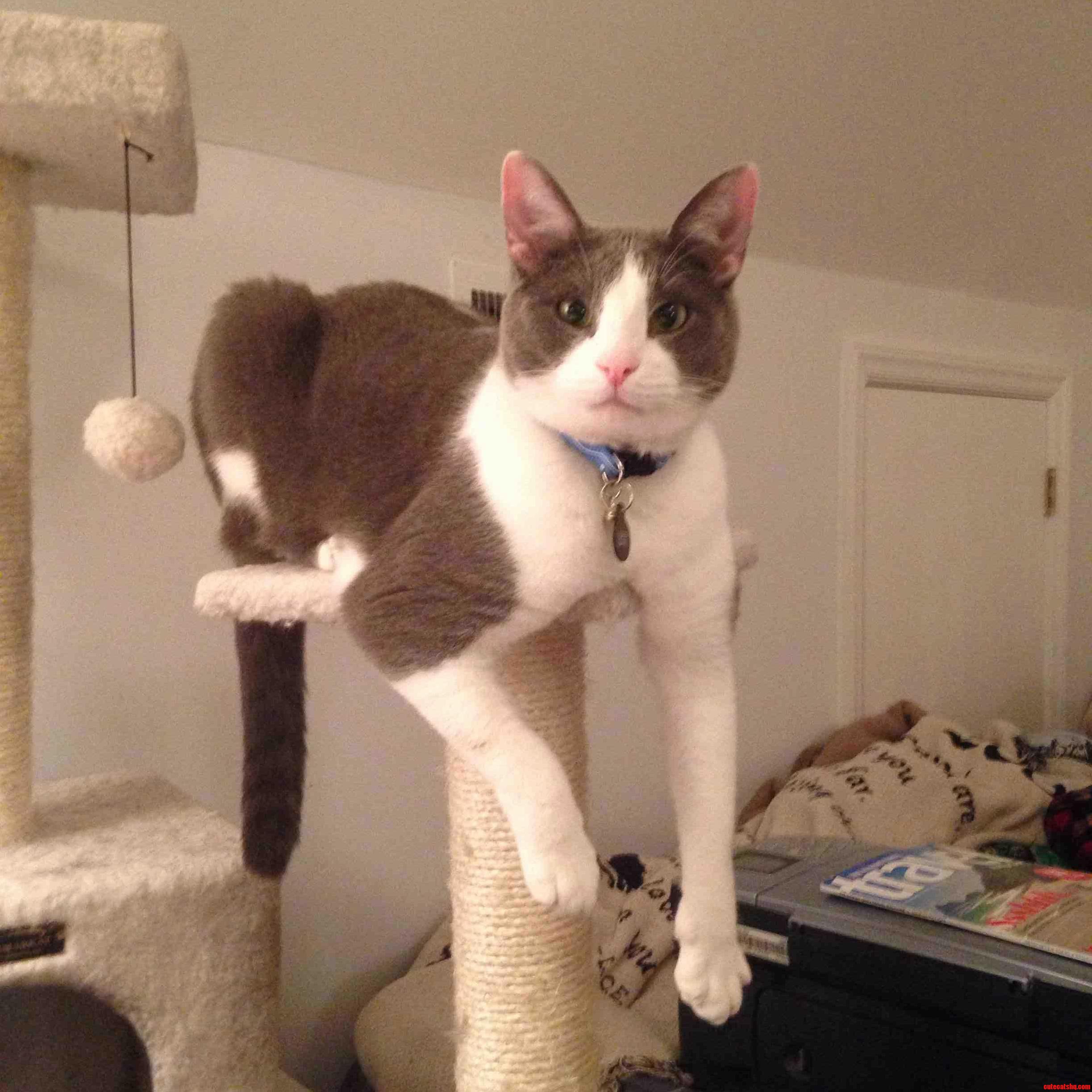 Gus. Chillin.