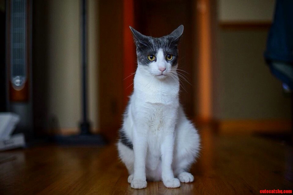 Gus.