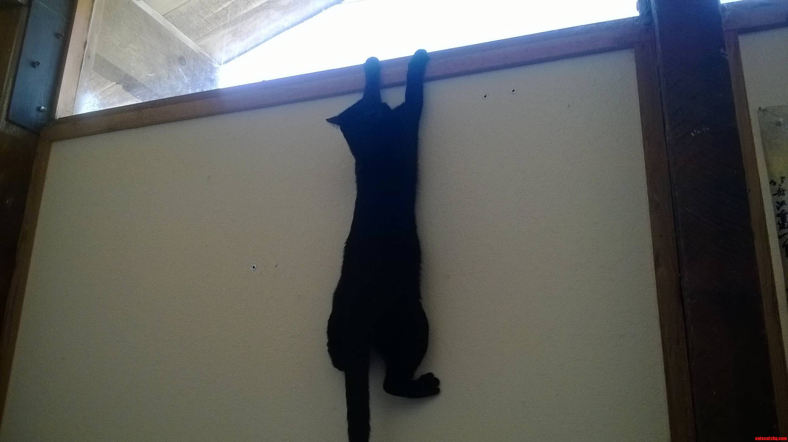 Hang in There.