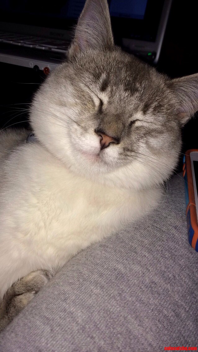 Happy Napper.