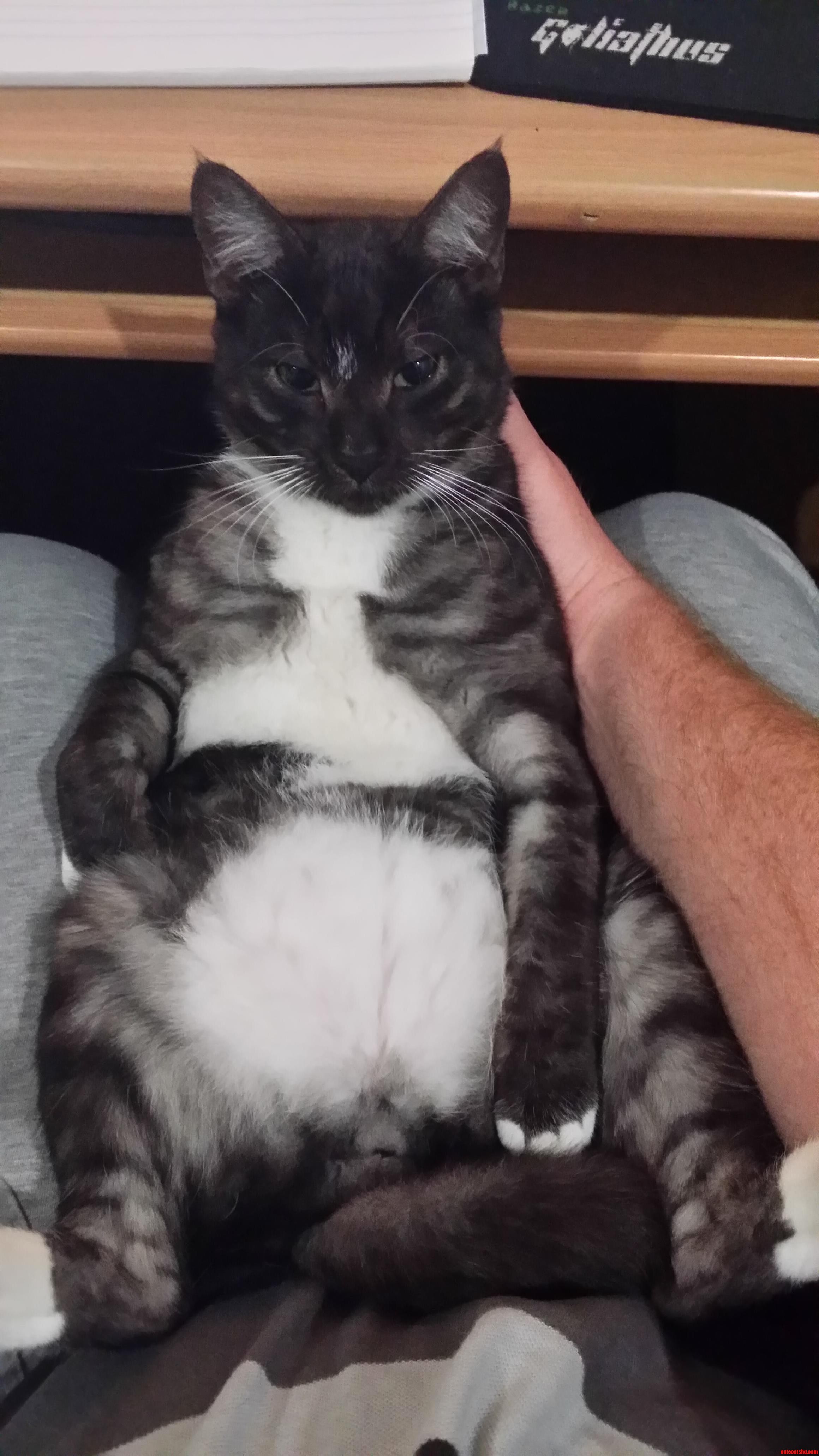 He Does This Every Night.