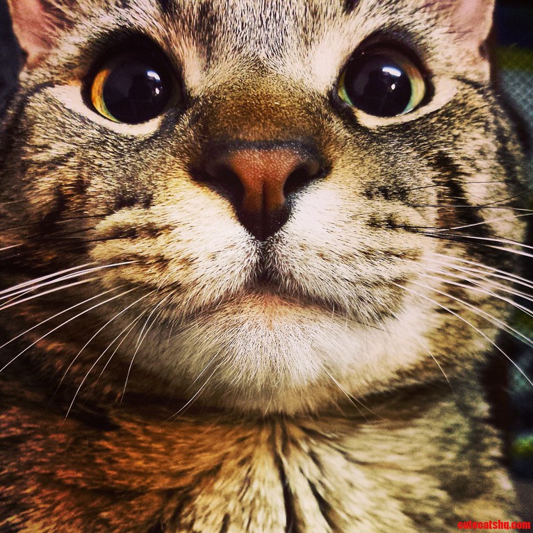He Doesnt Normally Let Me Get Close to Him with the Camera