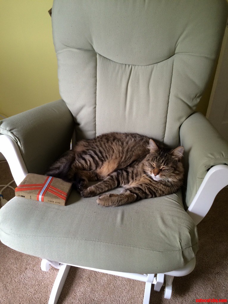 He Fell Asleep Reading the Bible.