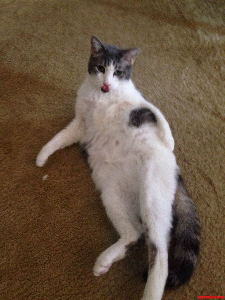 He Loves Showing Off for the Camera.