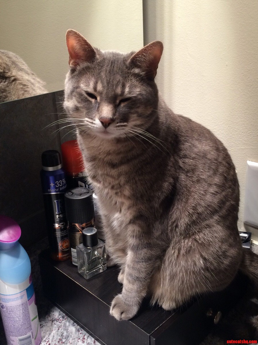 He Makes This Face When Im Brushing My Teeth