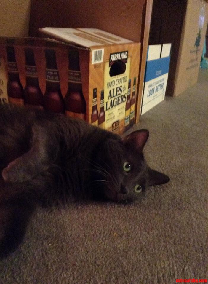 He May Have Had a Bit Too Much.