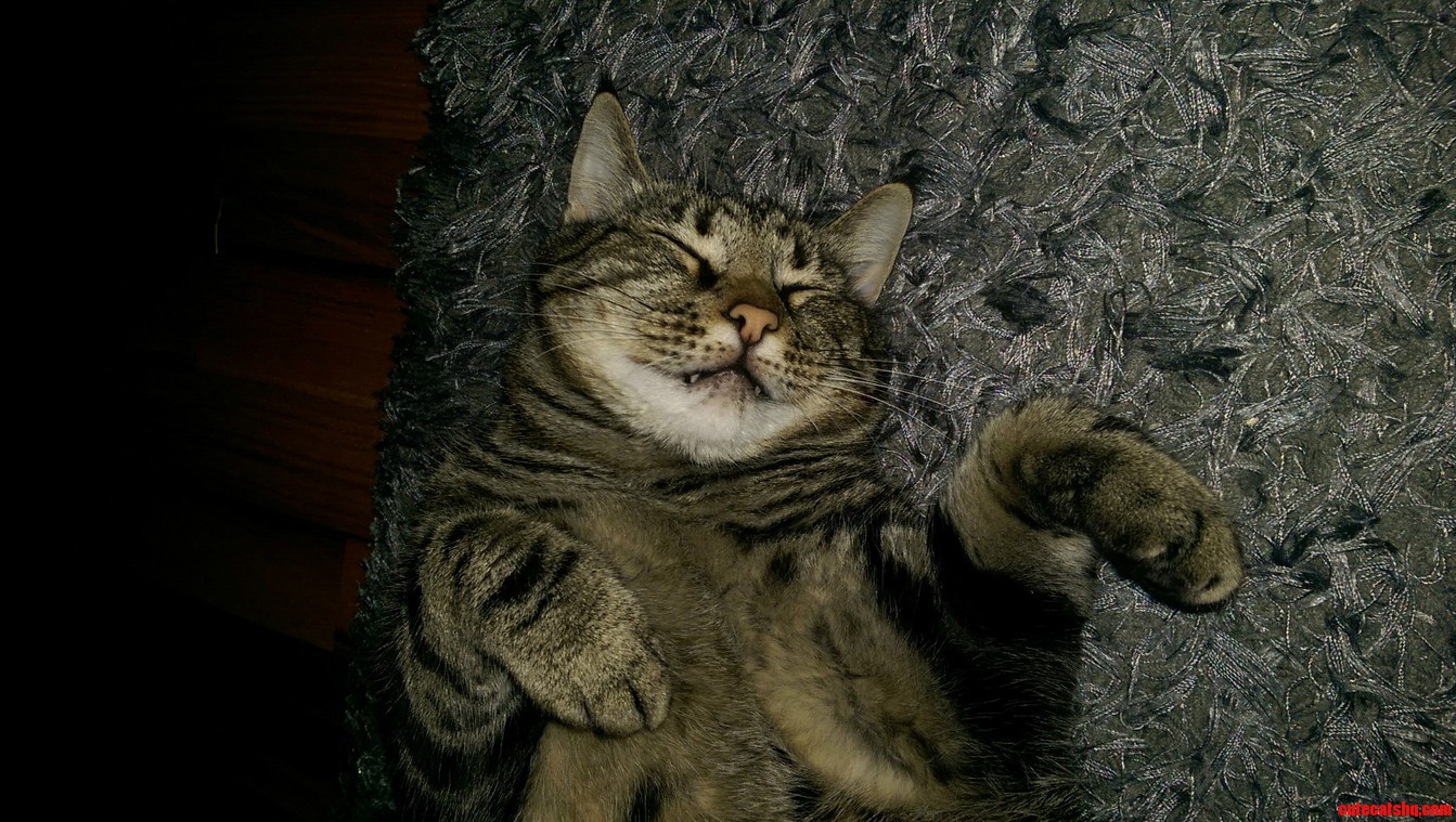 He Practices Kung-fu While Taking a Nap