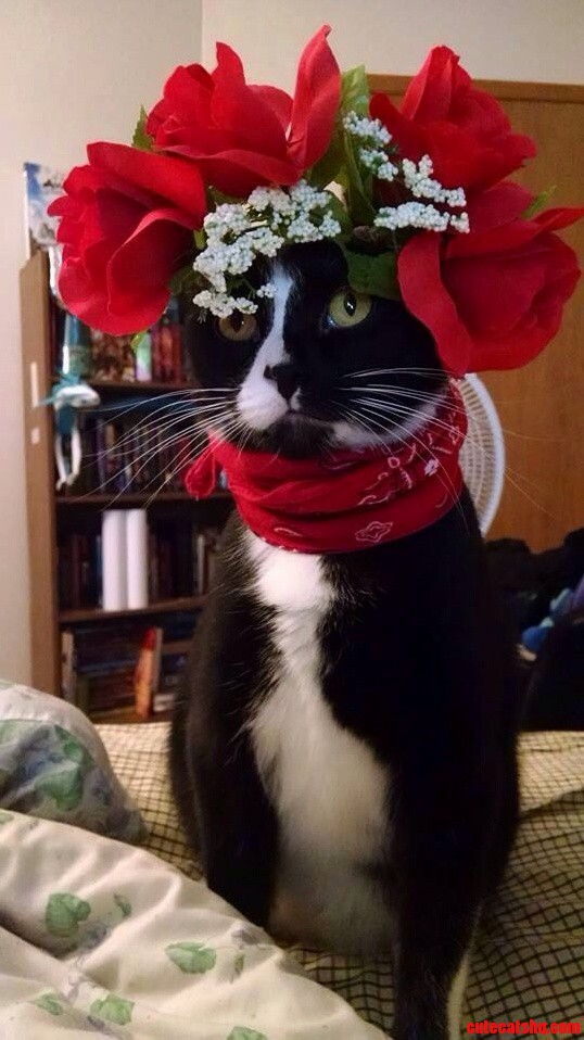 He Pulls This Look Off Better Then Most Girls