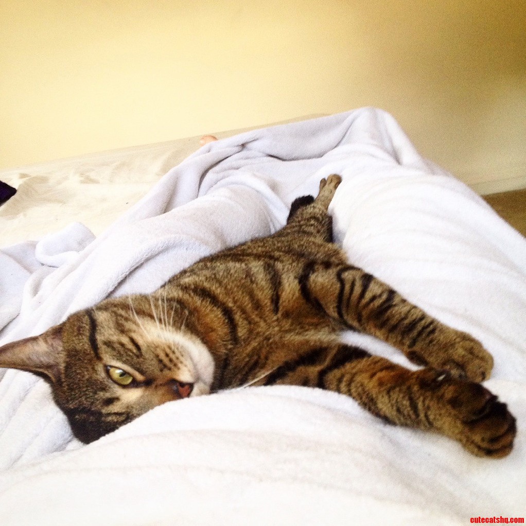 Heres One of Jackson Getting Cozy Between My Legs. One of His Best Moments.