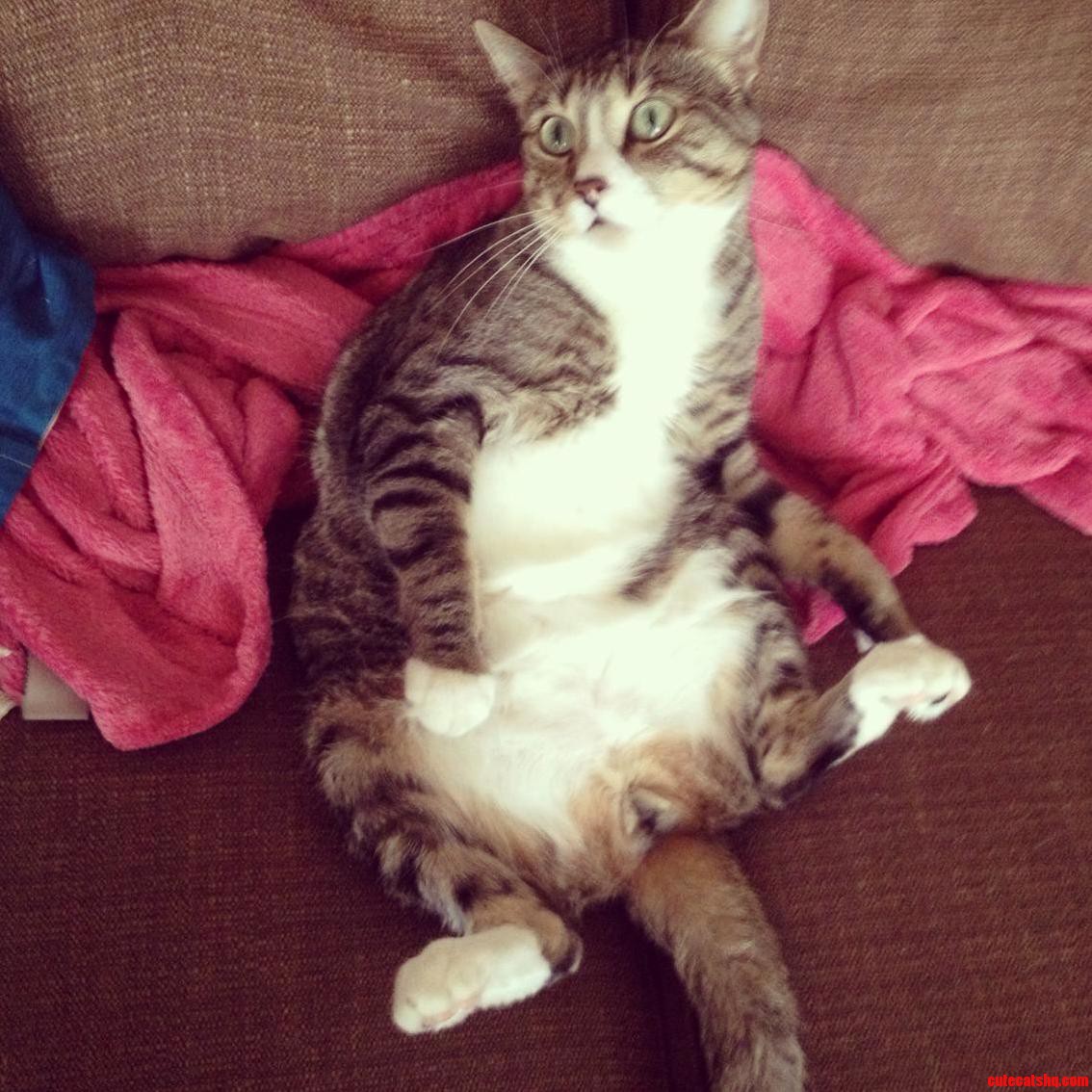 Hes a Bad Boy but I Love Him This Is Monty.