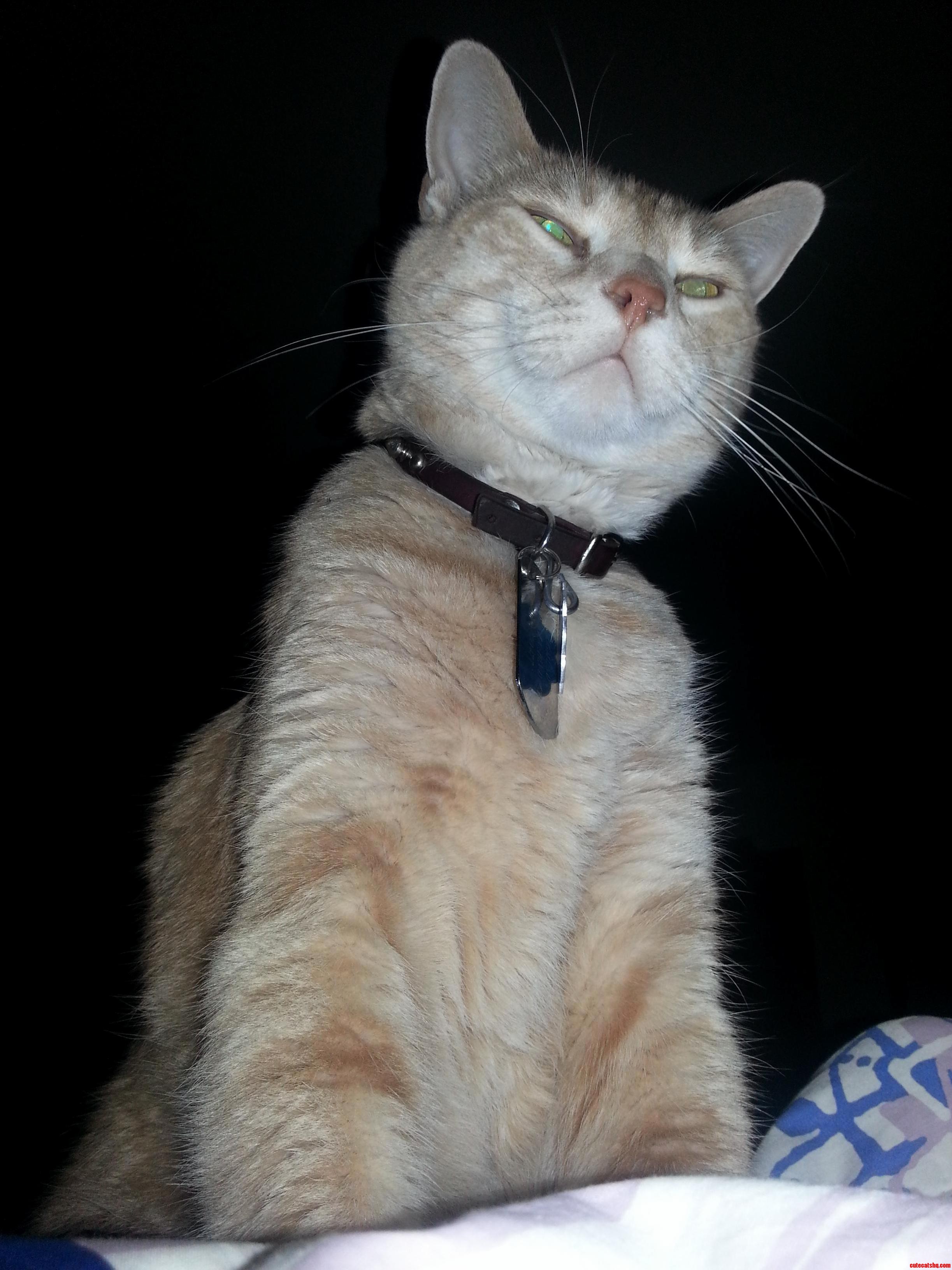 Hey Ma Wake Up. It Is Time for Breakfast.