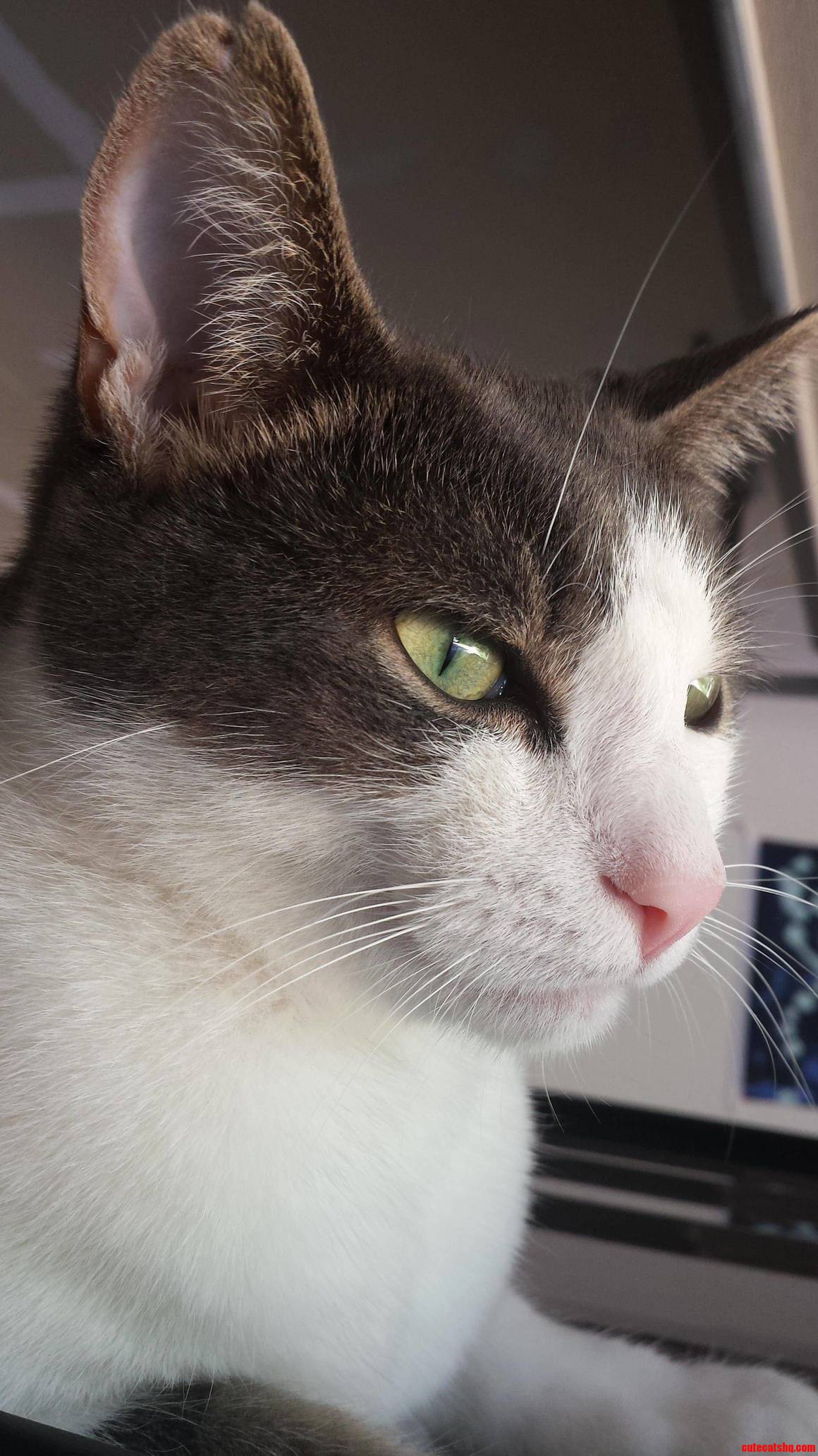 His Dream Is to One Day Be a Male Model.
