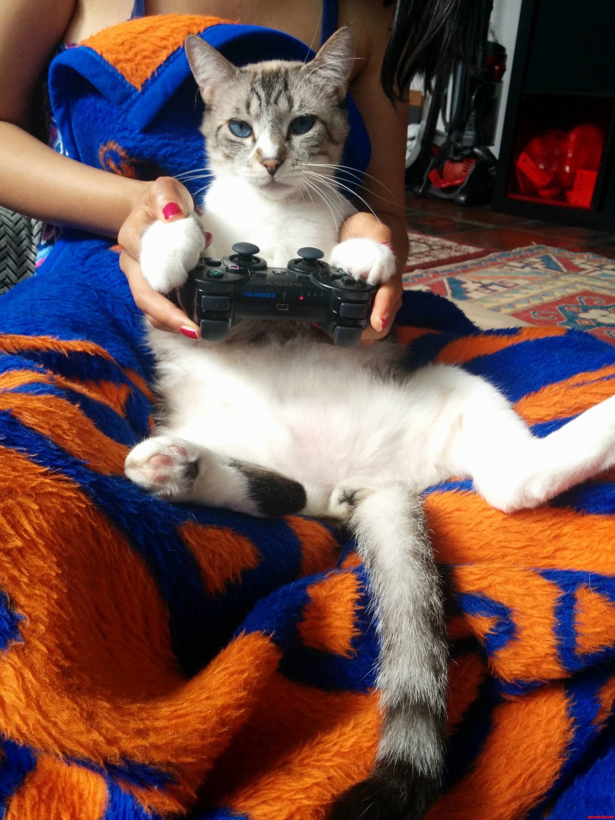 His Favorite Game Is Heavy Rain